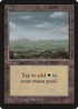 Plains (C) (LEB-) - Limited Edition Beta