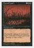 Cursed Land (5ED-) - Fifth Edition