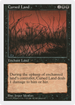 Cursed Land (5ED-) - Fifth Edition