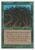 Wall of Wood (4ED-) - Fourth Edition