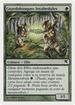 Birchlore Rangers (Spanish) - "Guardabosques leeabedules" (B52) (PSAL-B52) - Salvat 2005