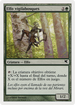 Timberwatch Elf (Spanish) - "Elfo vigilabosques" (B19) (PSAL-B19) - Salvat 2005