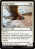 Tempest Hawk (TDM-031) - Tarkir: Dragonstorm Foil