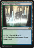 Waterlogged Grove (HA7-025) - Historic Anthology 7