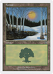 Forest (50) (DKM-050) - Deckmasters