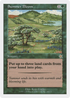 Summer Bloom (S99-144) - Starter 1999