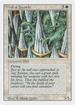 Wall of Swords (3ED-) - Revised Edition