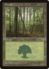Forest (Slanted Tree) (POR-) - Portal