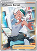 Professor Burnet (TG26/30) Holofoil [Silver Tempest Trainer Gallery] - Ultra Rare