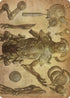 Foundry Inspector Art Card (ASBRO-059) - Art Series: The Brothers' War