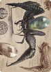 Psychosis Crawler Art Card (ASBRO-073) - Art Series: The Brothers' War
