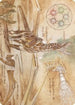 Ramos, Dragon Engine Art Card (ASBRO-074) - Art Series: The Brothers' War