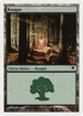 Forest (Spanish) - "Bosque" (J21) (PSAL-J21) - Salvat 2005