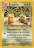 Exeggutor 013  Southern Islands - Promo