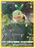 Turtwig (GG31/70) Holofoil [SWSH Crown Zenith Galarian Gallery] - Ultra Rare