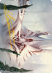 The Fair Basilica Art Card (Gold-Stamped Signature) (ASONE-059) - Art Series: Phyrexia: All Will Be One