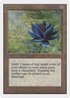 Black Lotus (2ED-) - Unlimited Edition