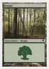 Forest (Spanish) - "Bosque" (B33) (PSAL-B33) - Salvat 2005