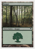 Forest (Spanish) - "Bosque" (J10) (PSAL-J10) - Salvat 2005