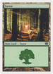 Forest (347) (9ED-347) - 9th Edition Foil