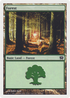 Forest (347) (9ED-347) - 9th Edition