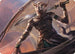 Mirri, Weatherlight Duelist Art Card (ASCMM-028) - Art Series: Commander Masters
