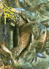 Blossoming Tortoise Art Card (Gold-Stamped Signature) (ASWOE-024) - Art Series: Wilds of Eldraine