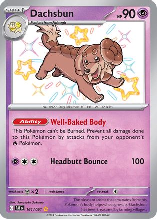 Dachsbun (161/091) Holofoil [SV Paldean Fates] - Shiny Rare