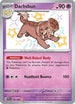 Dachsbun (161/091) Holofoil [SV Paldean Fates] - Shiny Rare