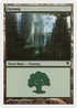 Forest (Italian) - "Foresta" (K10) (PSAL-K10) - Salvat 2005