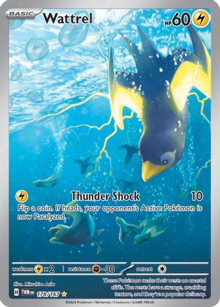 Wattrel (178/167) Holofoil [Twilight Masquerade] - Illustration Rare