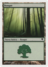 Forest (Spanish) - "Bosque" (B36) (PSAL-B36) - Salvat 2005