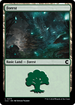 Forest (0273) (CLU-273) - Ravnica: Clue Edition