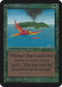Birds of Paradise (LEA-) - Limited Edition Alpha