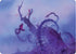 Coiling Rebirth Art Card (ASBLB-044) - Art Series: Bloomburrow