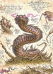 Rottenmouth Viper Art Card (ASBLB-036) - Art Series: Bloomburrow