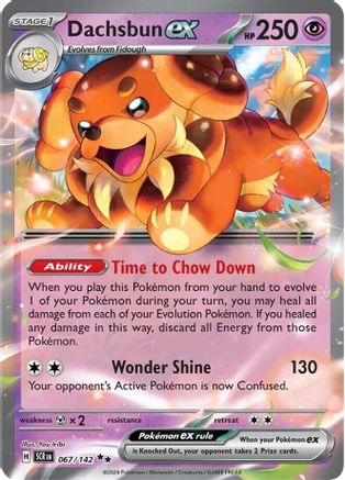 Dachsbun ex (067/142) Holofoil [Stellar Crown] - Double Rare
