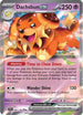 Dachsbun ex (067/142) Holofoil [Stellar Crown] - Double Rare