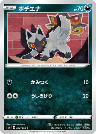 Poochyena (066/100) - S4 Amazing Volt Tackle