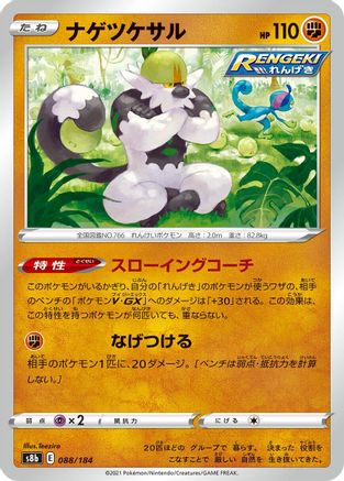 Passimian - 088/184 (088/184) - S8b VMAX Climax