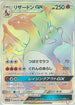 Charizard GX - 058/051 (058/051) - SM3H To Have Seen the Battle Rainbow Holofoil