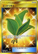 Life Herb - 084/066 (084/066) - SM6b Champion Road Holofoil