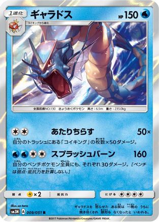 Gyarados (009/051) - SM3N Darkness that Consumes Light Holofoil