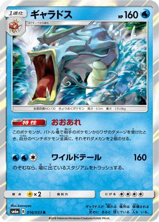 Gyarados (016/053) - SM6a Dragon Storm Holofoil