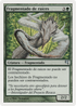 Root Sliver (Spanish) - "Fragmentado de raíces" (PSAL-D14) - Salvat 2005