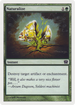 Naturalize (9ED-258) - 9th Edition Foil