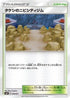 Brock's Pewter City Gym (030/031) - smK Trainer Battle Decks