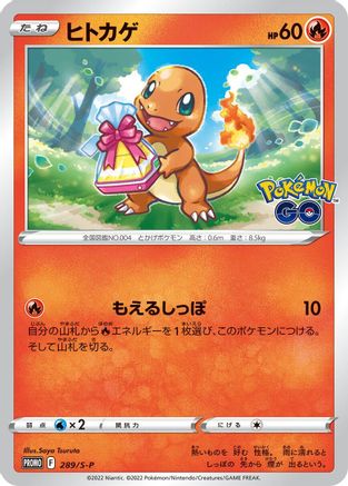 Charmander - 289/S-P (289/S-P) - SP Sword  Shield Promos