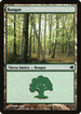 Forest (Spanish) - "Bosque" (222) (PS11-222) - Salvat 2011