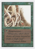 Wall of Brambles (2ED-) - Unlimited Edition
